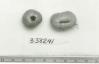Click for 1 image(s) for this accession. FRUIT